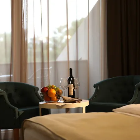 Hotel Sunce Sokobanja